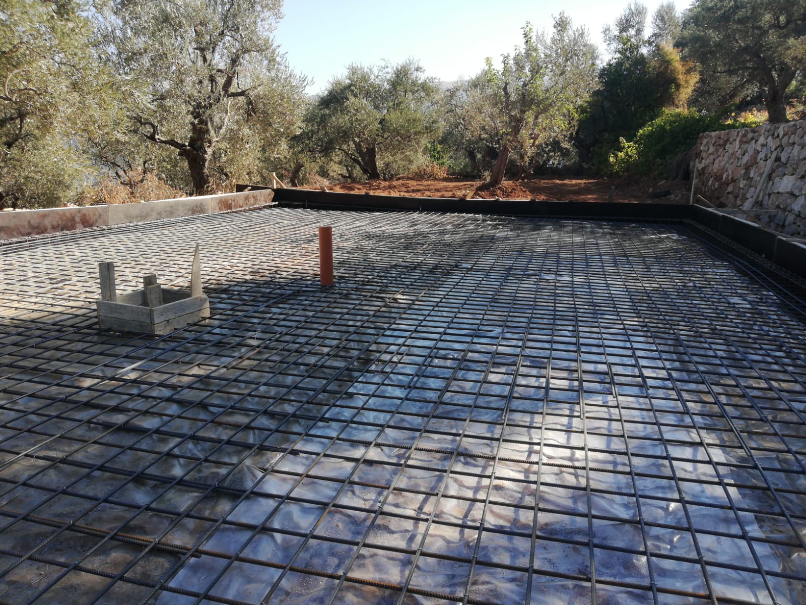 Beirut dairy farm update